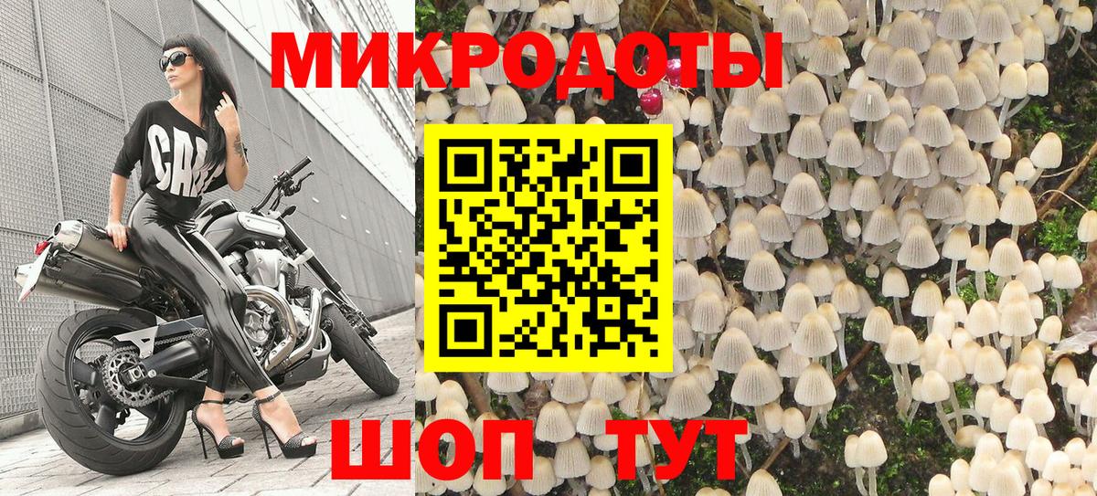 Галлюциногенные грибы GOLDEN TEACHER Великий Устюг