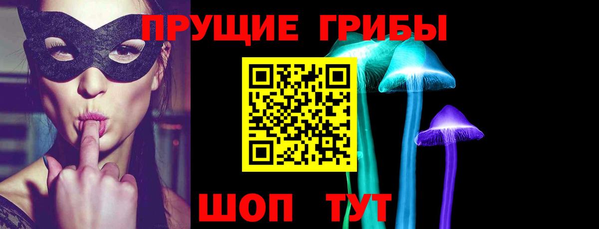 Псилоцибиновые грибы Magic Shrooms  Вход с VPN  купить наркотик  Великий Устюг 
